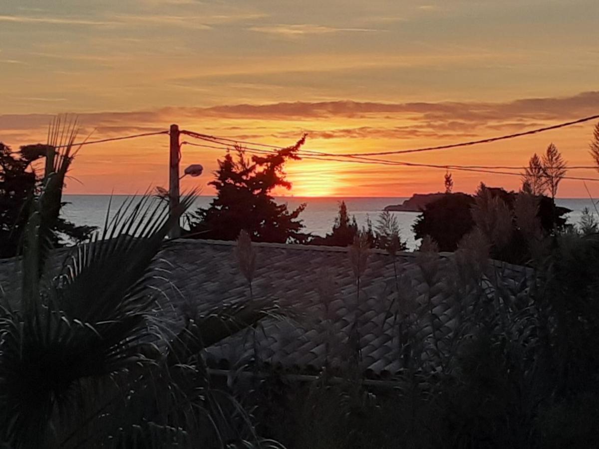Appartement Terrasse Vue Mer, Plage Gorguette A 1 Minute A Pied, Wifi,Clim Parking Collectif Sanary-sur-Mer Exteriör bild